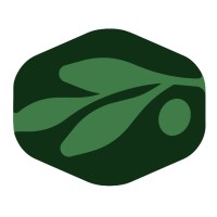 Olive Capital logo